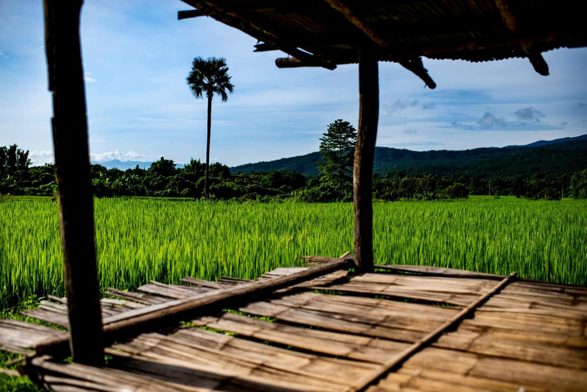 Suan Sook Homestay Chom Thong Dış mekan fotoğraf