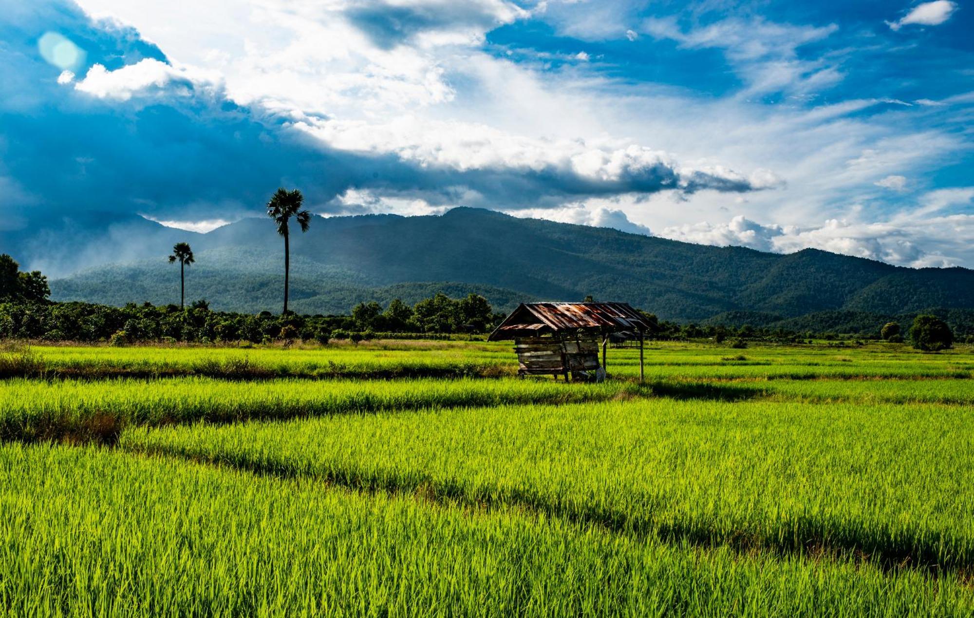 Suan Sook Homestay Chom Thong Dış mekan fotoğraf