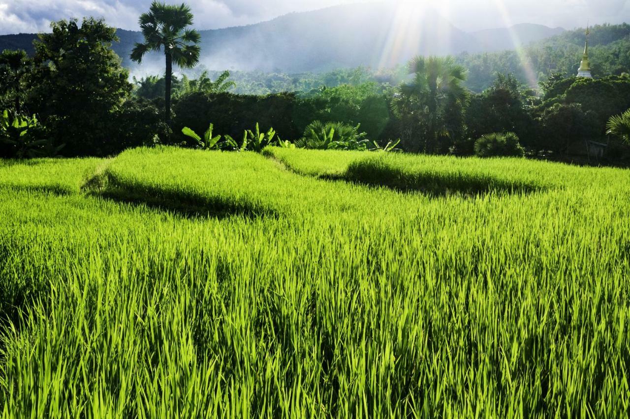 Suan Sook Homestay Chom Thong Dış mekan fotoğraf